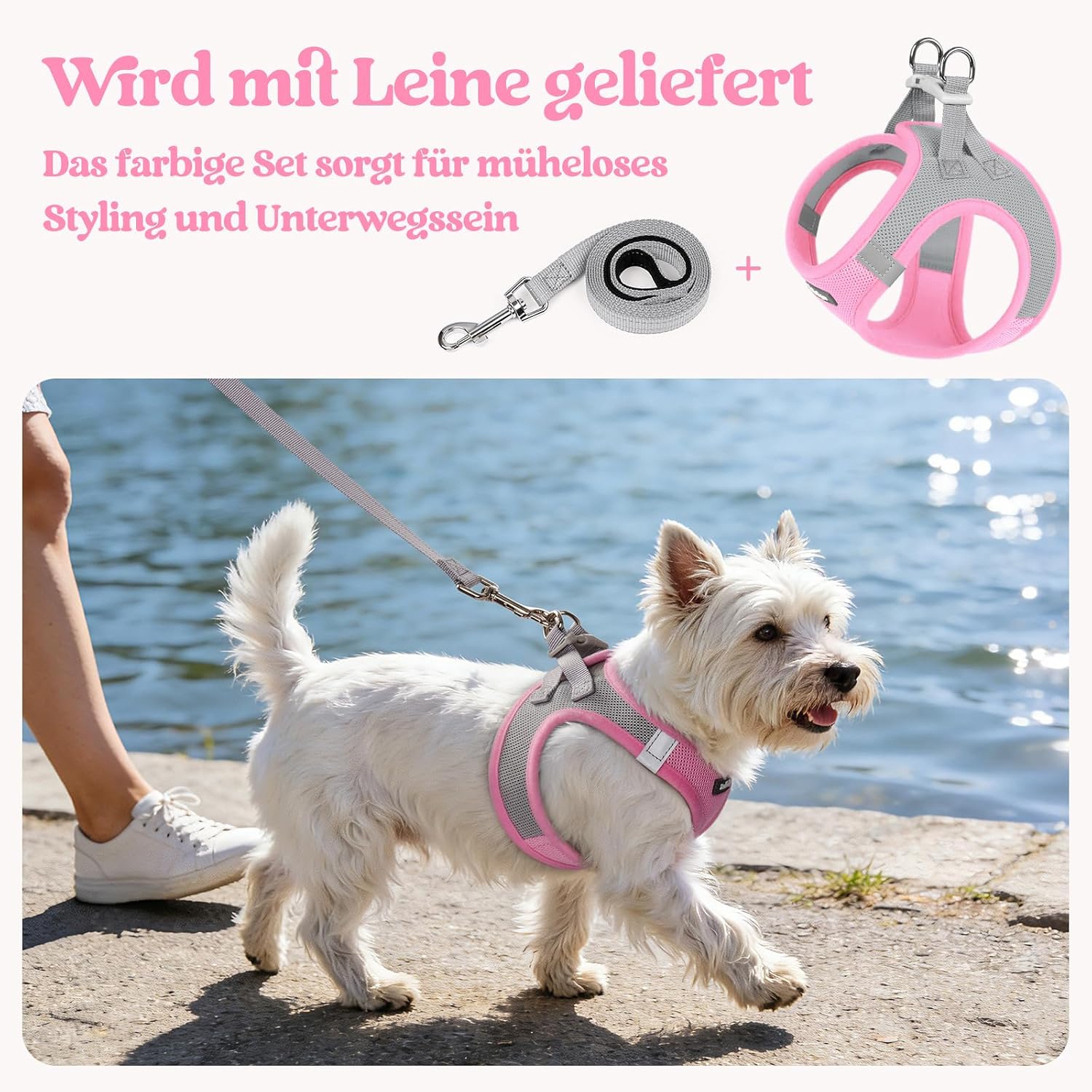 Detalle de rabbitgoo Hundegeschirr Kleine Hunde mit Leine, Step-in Welpengeschirr aus Air-Mesh, Reflektierend, Rosa & Hellgrau, Größe S