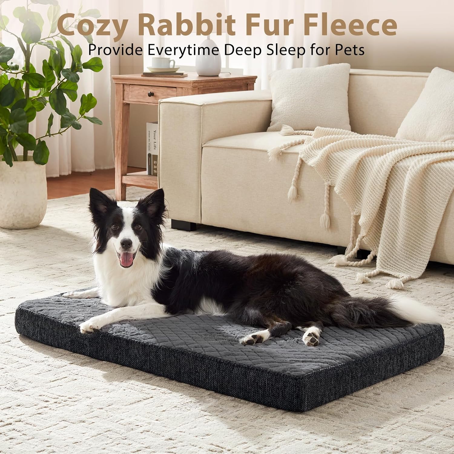Detalle 2 de JOEJOY Orthopedic Dog Bed 74x46x7.5CM