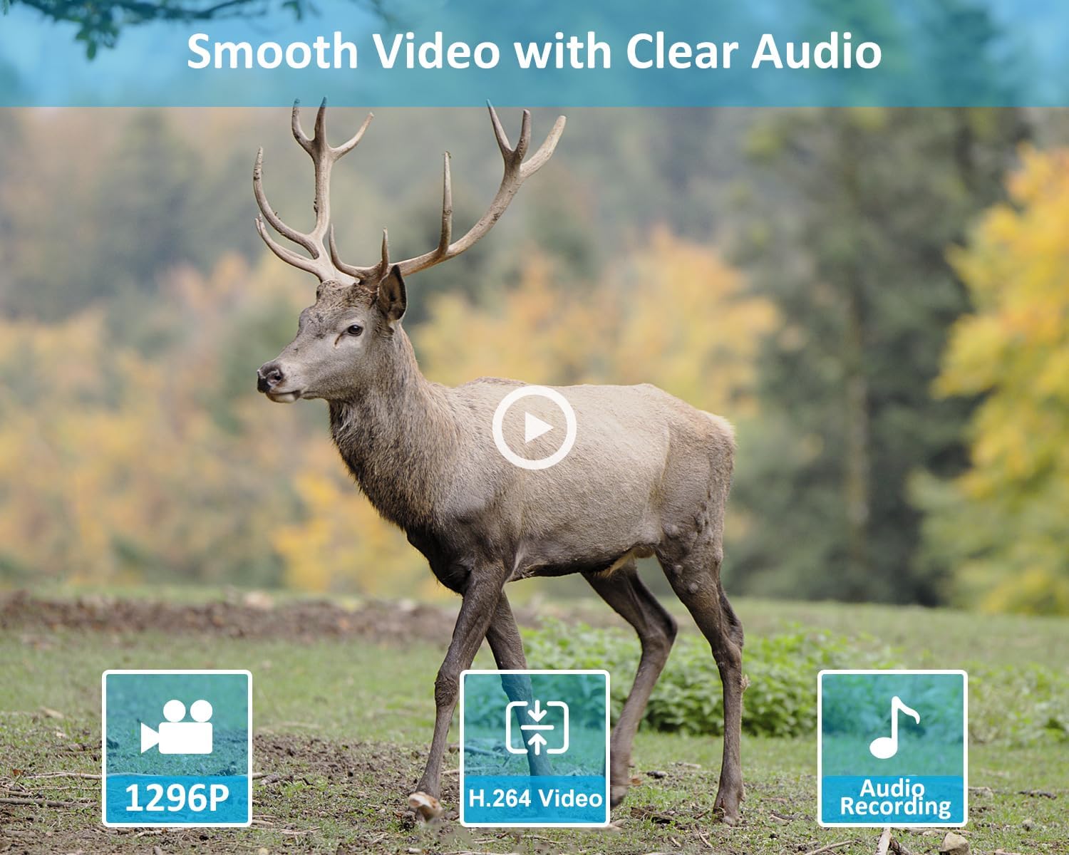 Detalle 2 de GardePro E5S Non-Cellular Trail Camera, 64MP Photos, 1296p Video