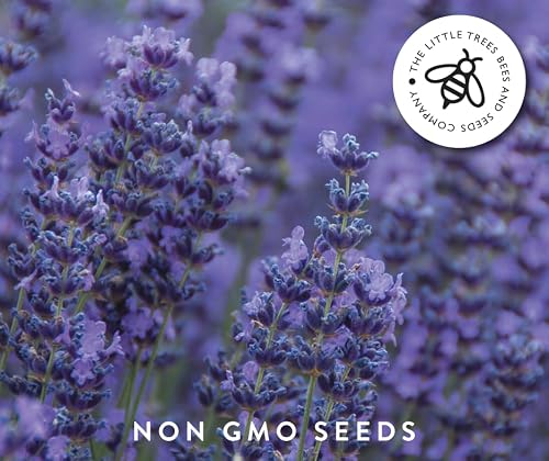Detalle de Gourmet Edible Flower Seed Kit — 8 Varieties by The Little Trees Bees & Seeds Company