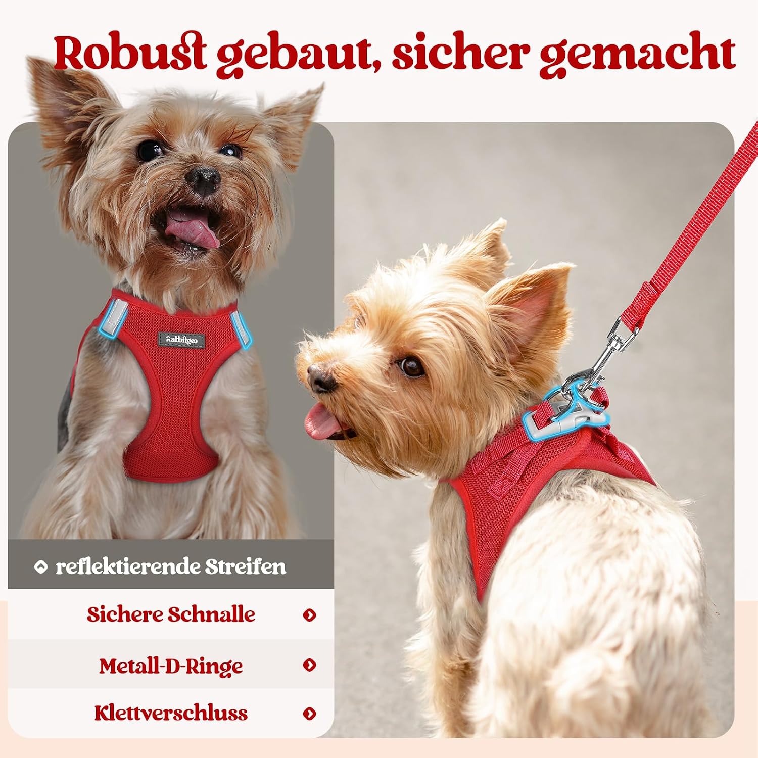 Thumbnail 4 de rabbitgoo Hundegeschirr 1,56 m