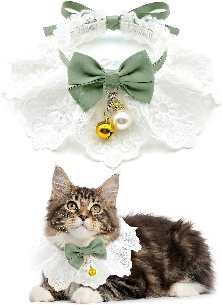 Thumbnail 6 de Quafochi Cat Collar