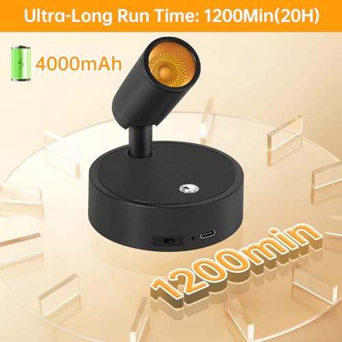 Thumbnail 2 de Dehobo Focos para Interiores con Control Remoto 2 Unidad - 3 Modos de Luz Foco LED Recargable con Temporizador y Ajuste de Brillo - Ajuste Ángulo 350° Ideal para Plantas, Pintura y Obras de Arte