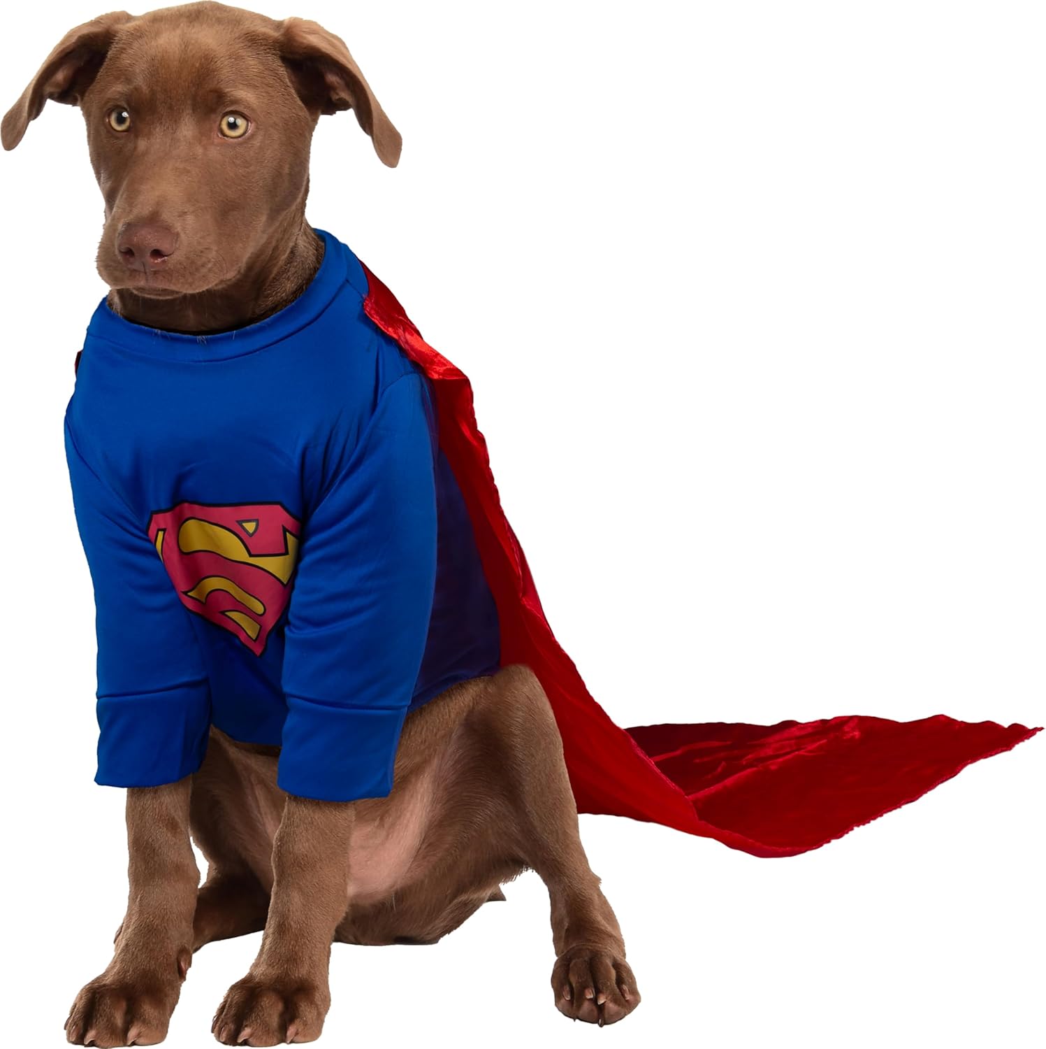 Thumbnail 6 de Rubie s Superman dog costume XXXL