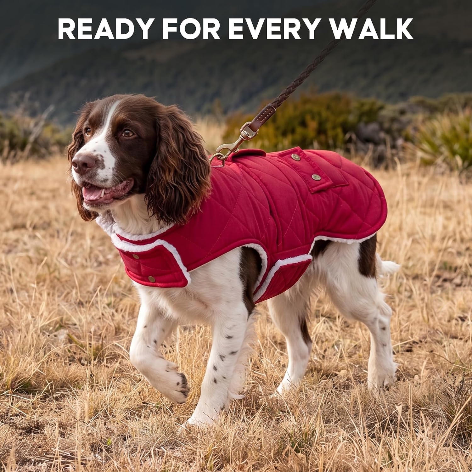 Thumbnail 5 de KYEESE Dog Coat with Fleece Lining