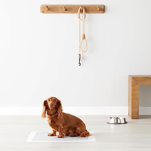 Thumbnail 6 de Amazon Basics Almohadillas de adiestramiento para perros y cachorros (80 unidades) de carbón, 5 capas y a prueba de fugas