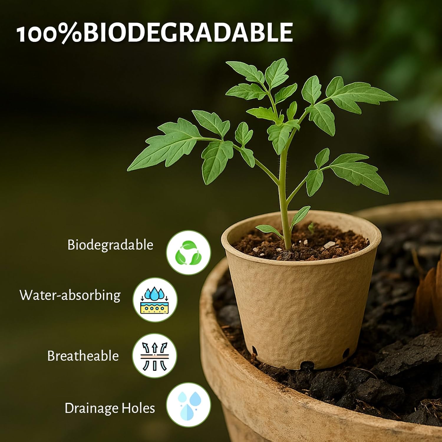 Thumbnail 2 de Bluepro 30-Pack 4-Inch Clear Nursery Pots with Humidity Dome for Seed Starting