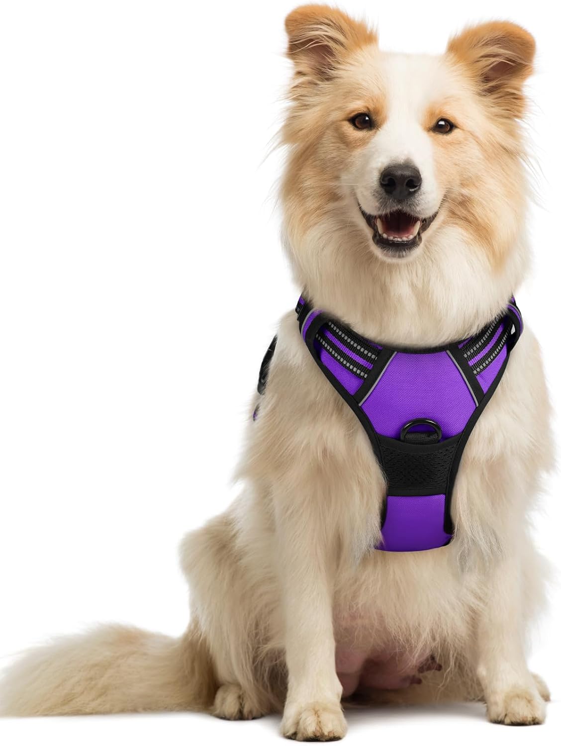 Detalle de Rabbitgoo Dog Harness Medium No Pull with 2 Clips and Soft Padded Vest