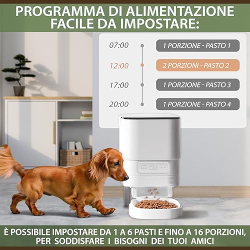 Thumbnail 2 de SYBILPET Distributore Automatico Cibo per Gatti e Cani di Taglia Piccola – 4L, App e Messaggio Vocale