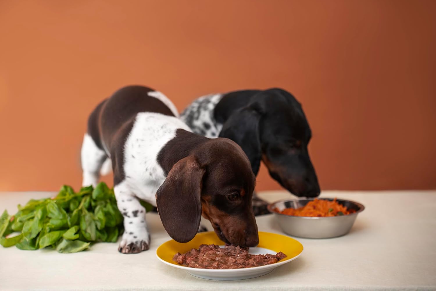 Detalle 1 de Canina Pharma Barfer's Best Junior, proszek dla szczeniąt na okres wzrostu, 850 g