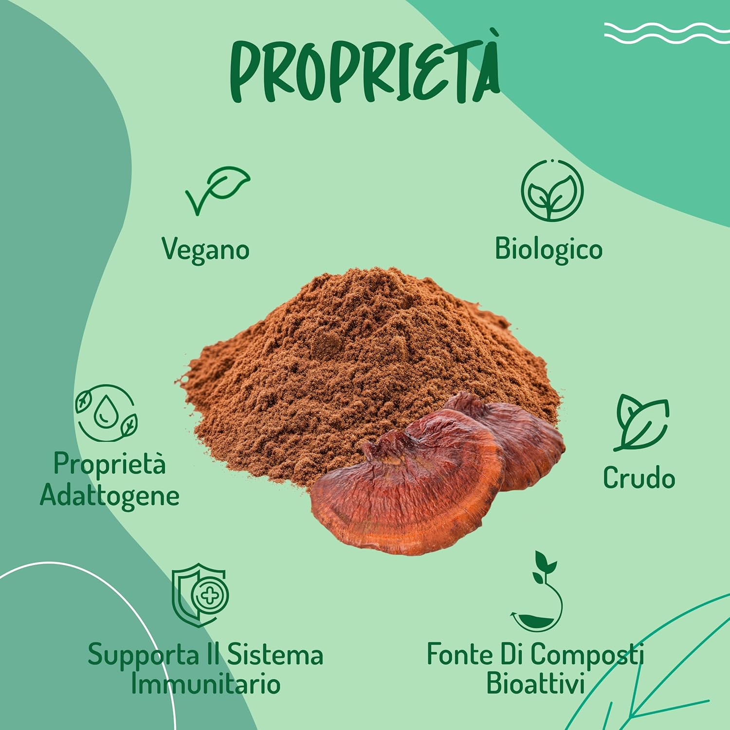 Thumbnail 3 de Reishi Ganoderma Lucidum Puro e Bio in Polvere 300g (Luce/temperature inferiori a 42°C) – reishi biologico essiccato al sole e macinato