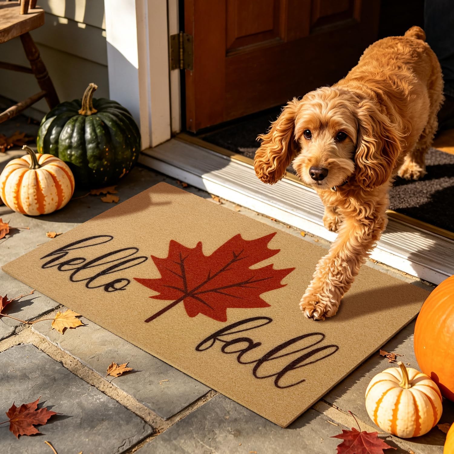 Thumbnail 6 de PKFEDR PK-DM-FBA Hello Fall Doormat, 24 x 36, Non-Slip Polyester