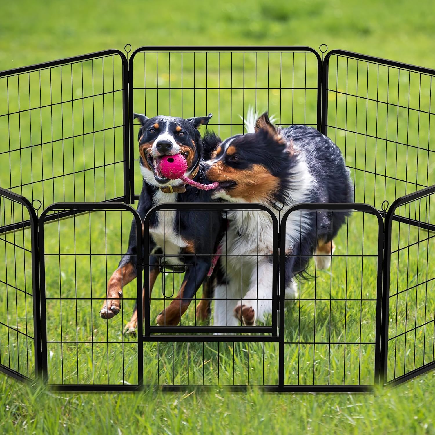 Thumbnail 6 de NEWBULIG Dog Playpen 32-Inch