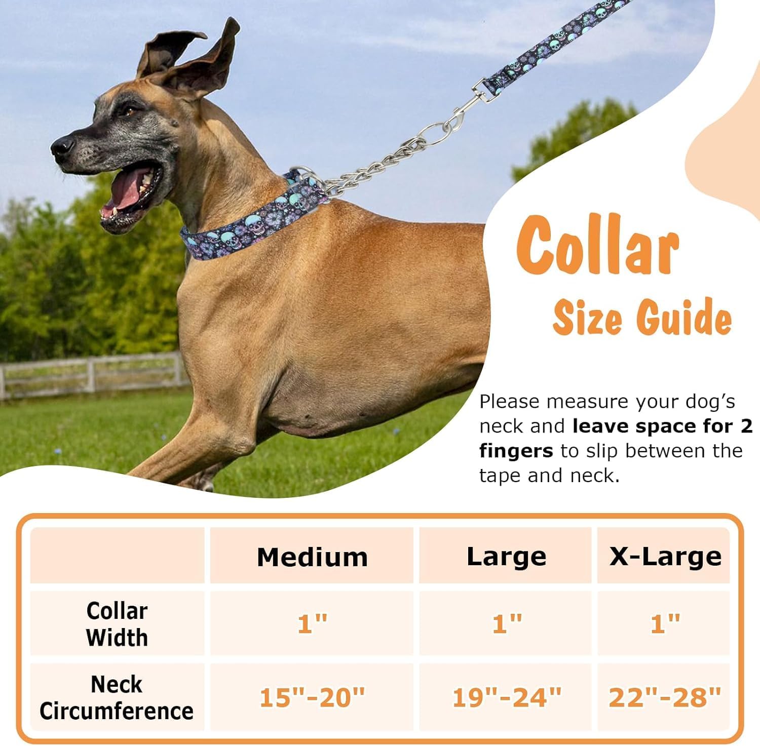 Thumbnail 3 de Chain Dog Collar Heavy-Duty Martingale Collar with Stainless Steel Chain (Adjustable for Medium–Large Dogs)