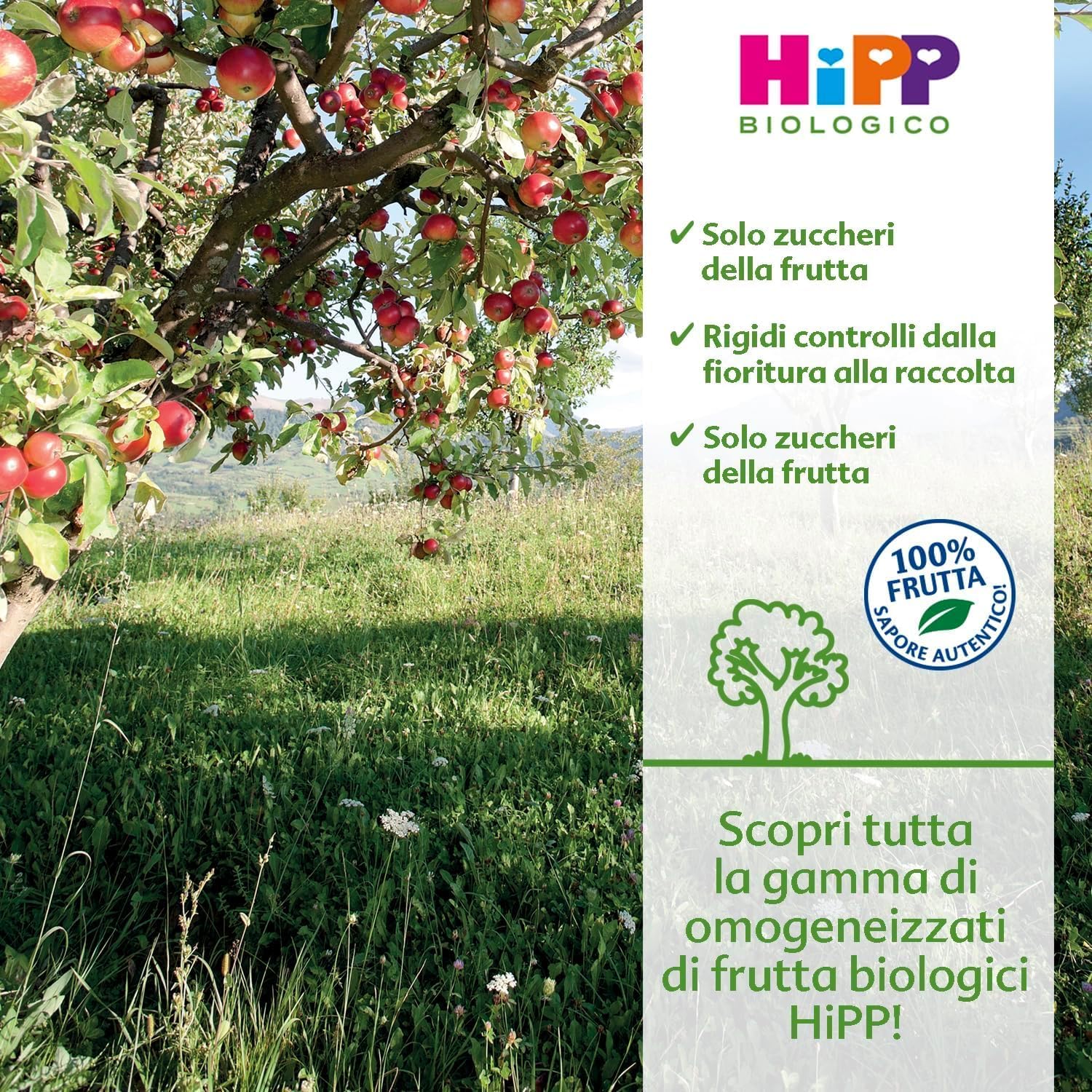 Detalle de HiPP Omogeneizzato di Frutta Biologico per Neonati – Frutta Mista (Mela, Pesca e Banana) 24 Vasetti da 80 g