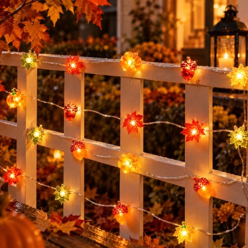 Thumbnail 9 de Liyade Guirlande lumineuse d'automne, 2,2 m - 20 LED 3D, minuterie et piles