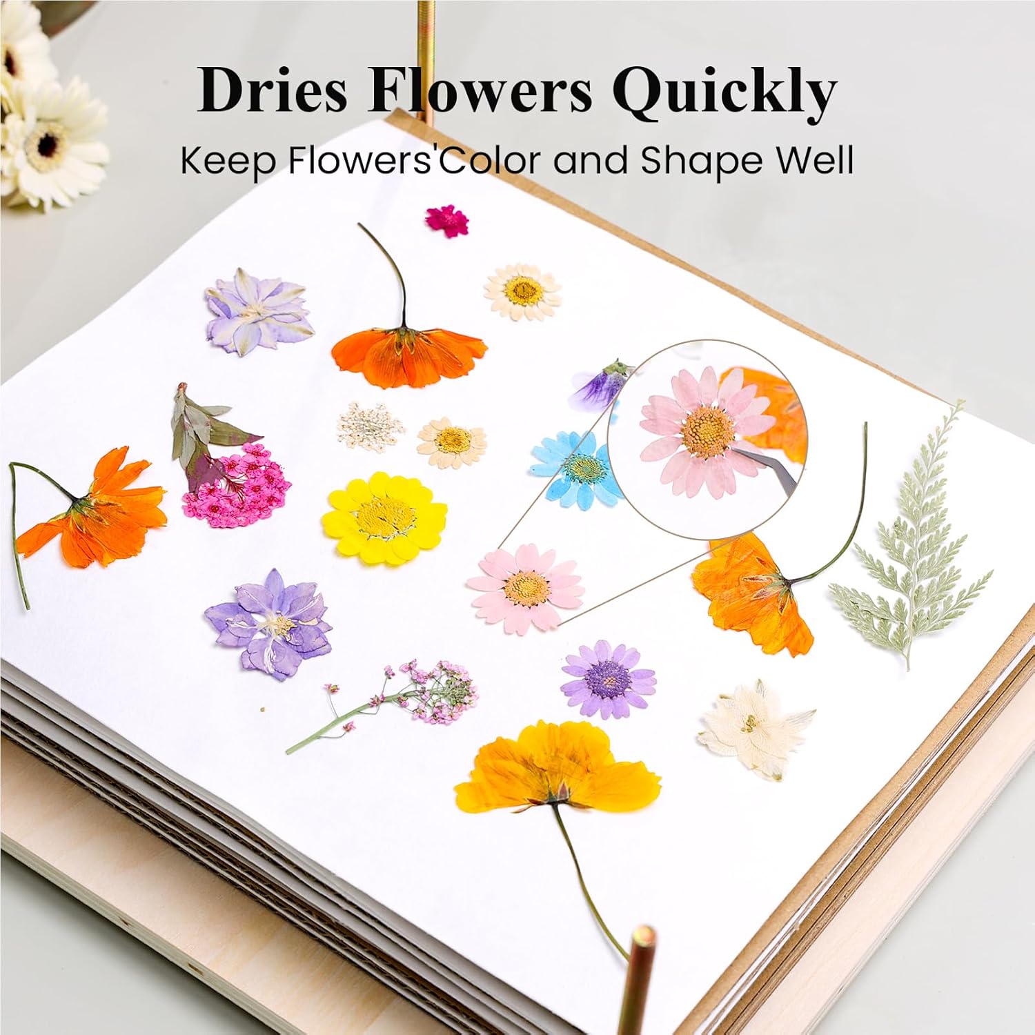 Detalle de Aboofx Flower Press Kit: 11.2" x 11.2" 8-Layer Wooden Press for DIY Dried Flowers