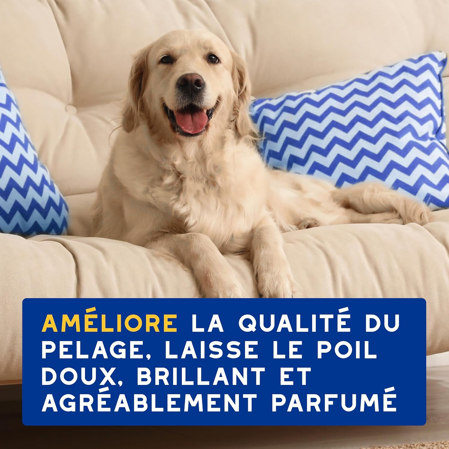 Thumbnail 6 de DOUXO Skin & Coat Spa – Après-shampoing hydratant Ultra-Safe pour Chien, 250 mL