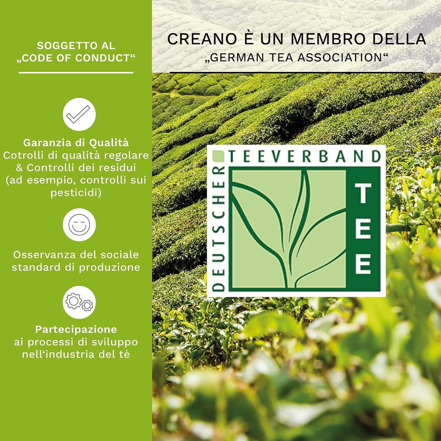 Thumbnail 3 de Creano Set Regalo 6 Fiori di Tè Verde in scatola magnetica elegante con goffratura argento