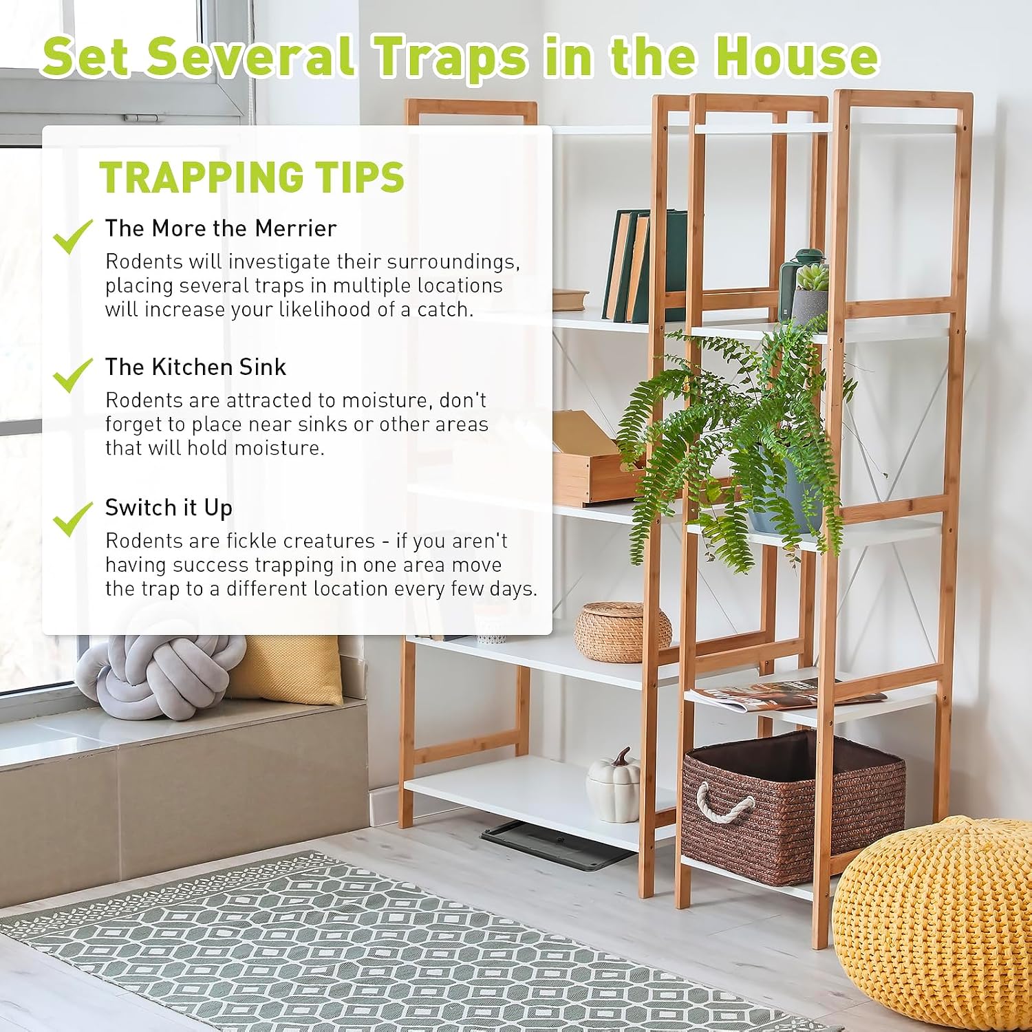 Detalle 2 de Pelrayt sq-123 Glue Mouse Traps, 12-Pack, Peanut Butter Scented