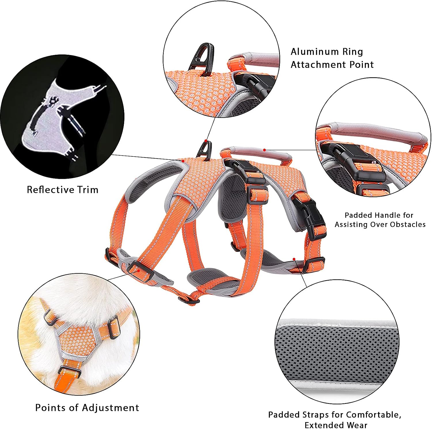 Detalle 2 de BELPRO Multi-Use Support Dog Harness for Large/Active Dogs