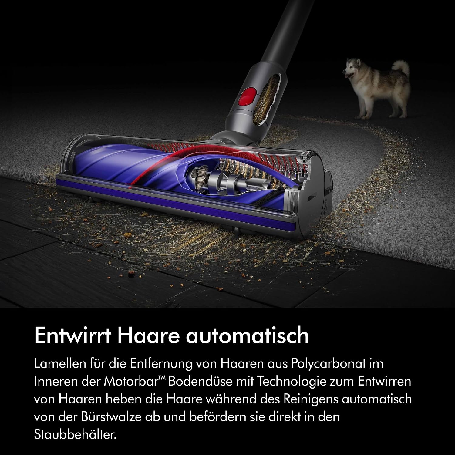 Detalle de Dyson V8 Origin Kabelloser Staubsauger 2026 – kompakt, leistungsstark und flexibel