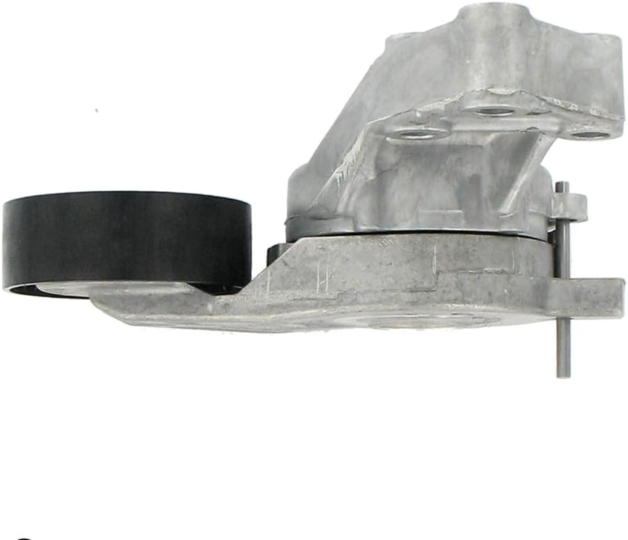 Thumbnail 2 de SKF VKM 31019 Kit Tendicinghia: valutazione pratica per riparazioni sicure