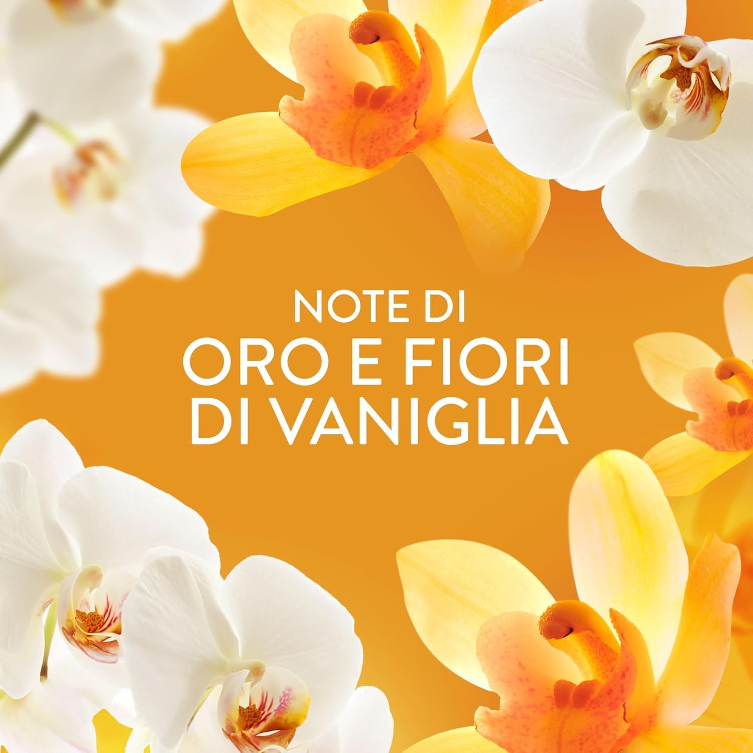 Thumbnail 2 de Lenor Profumatore Bucato Lavatrice Perle Profumate Oro e Fiori Di Vaniglia – Maxi Formato 6 x 195 g