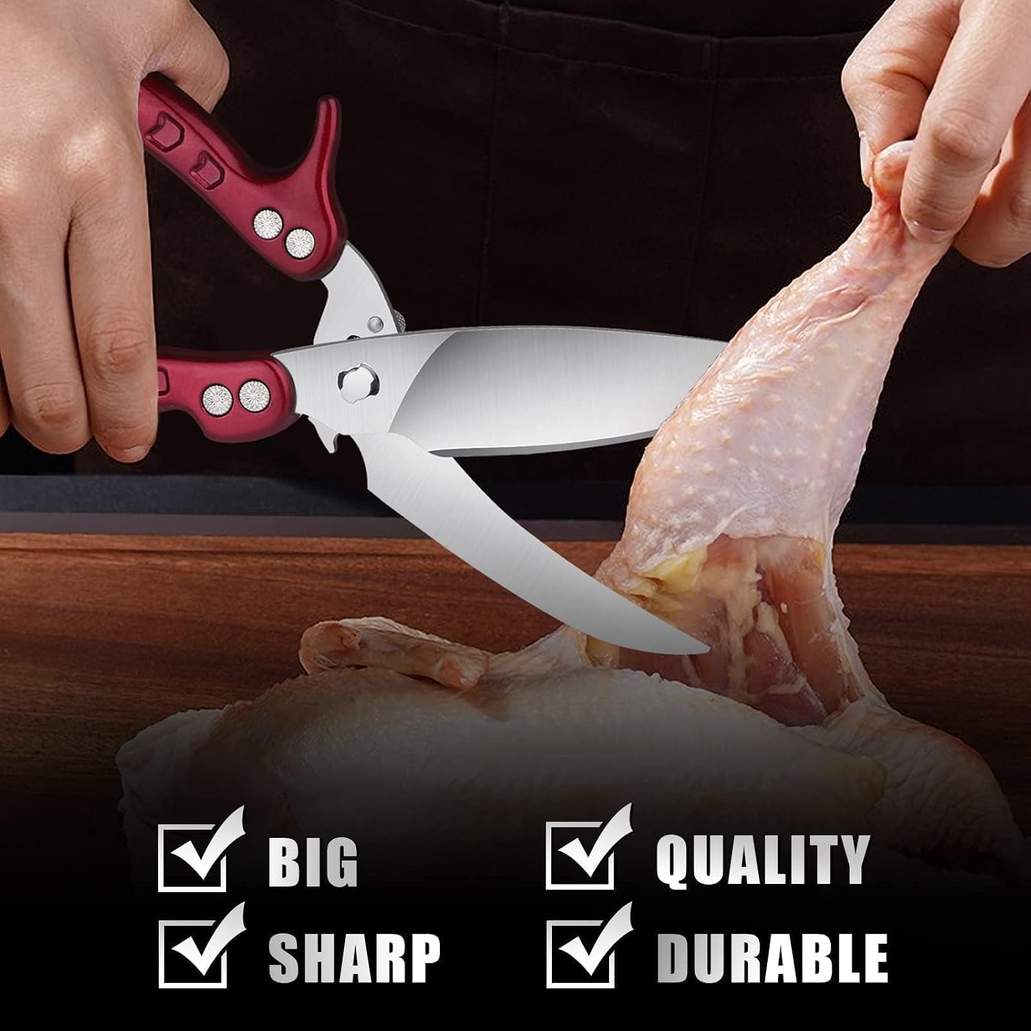 Detalle 2 de Dragon Riot poultry shears in German stainless steel