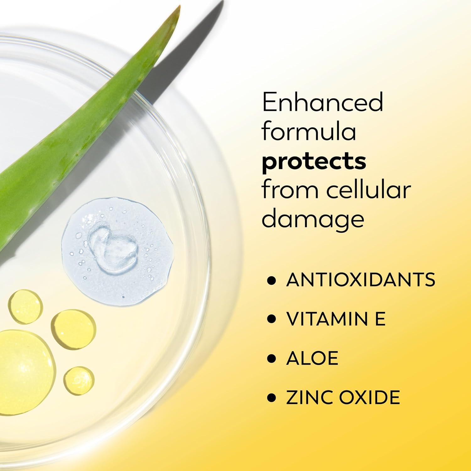 Thumbnail 4 de Olay Face Moisturizer SPF 15 (Vitamin C, E & Niacinamide) — Daily Lightweight Hydrating Lotion, 2-Pack (6 oz)