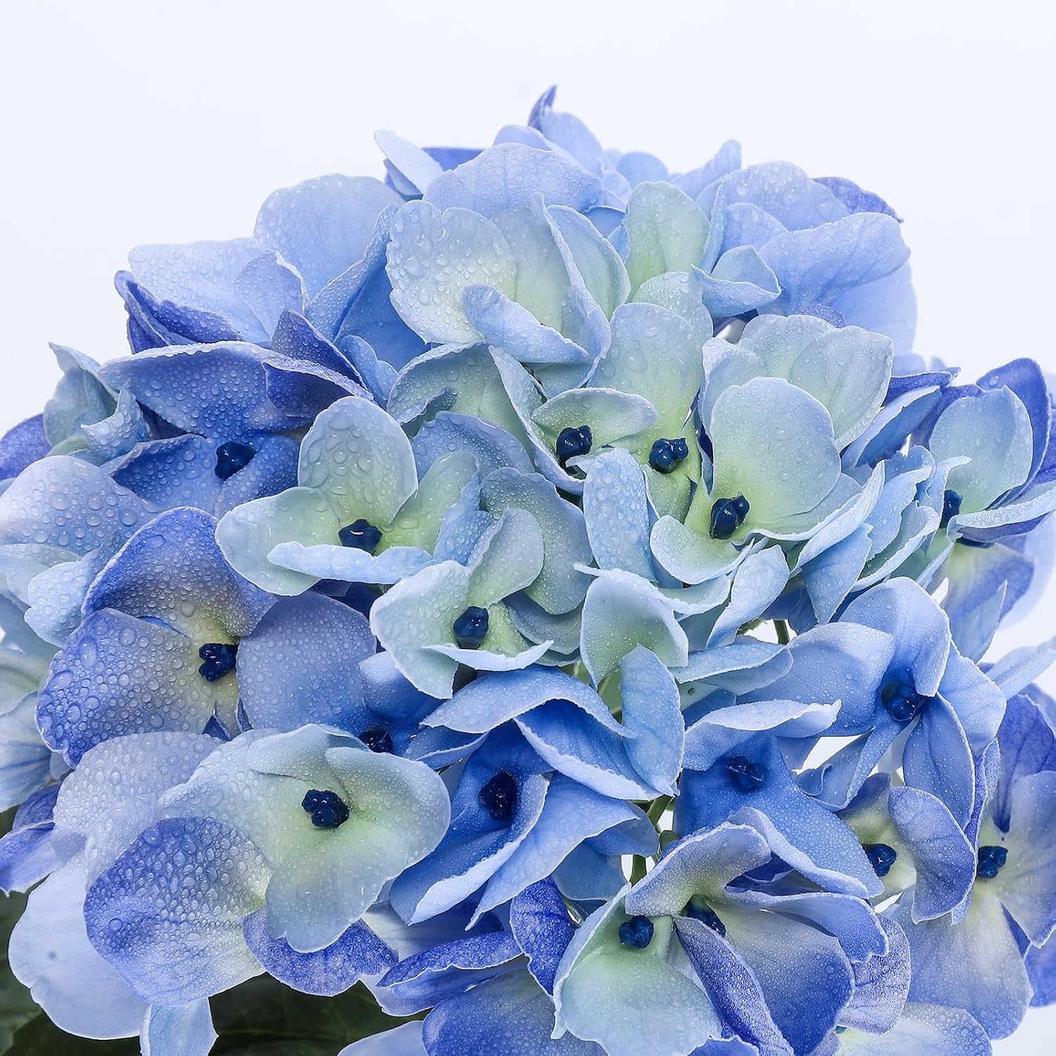 Detalle de Coferset Artificial Hydrangea Flowers, 6.5-Inch Heads