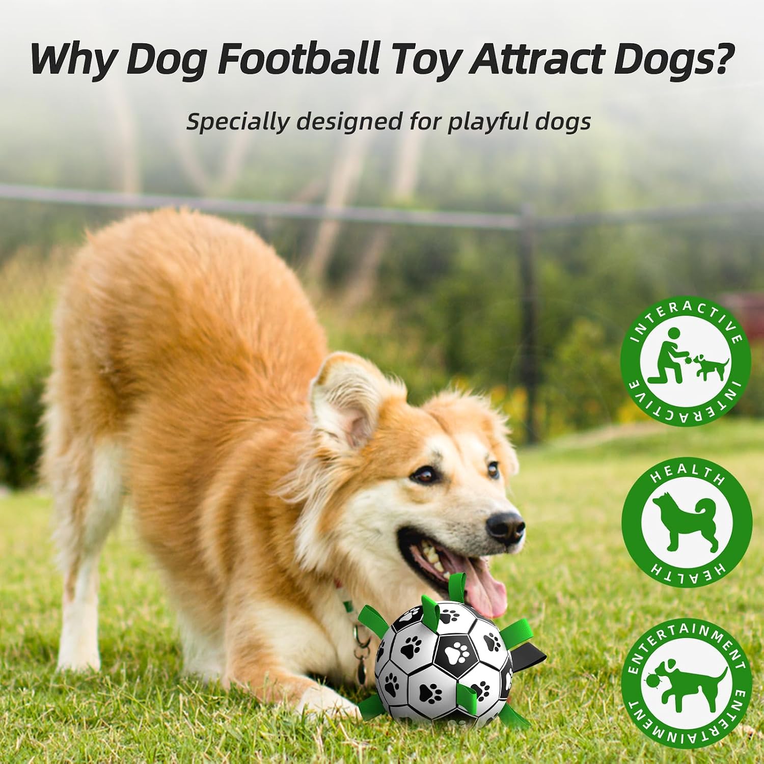 Detalle 2 de HETOO Dog Balls 6 Inch Durable Floating Toy