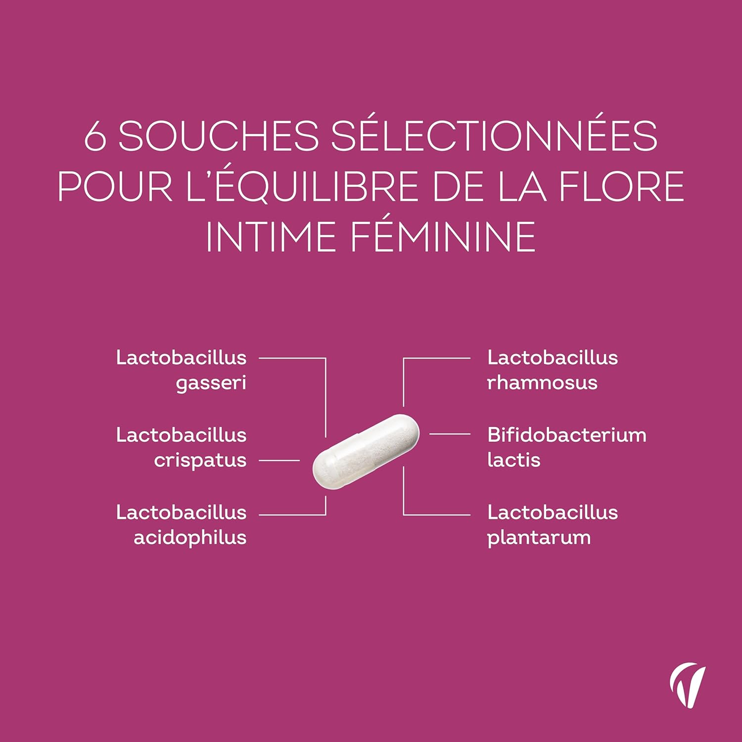 Thumbnail 3 de Probiotiques Flore Intime – 20 milliards UFC, 6 souches dont Lactobacillus gasseri & crispatus, vitamine B2 – 60 gélules (1 mois)