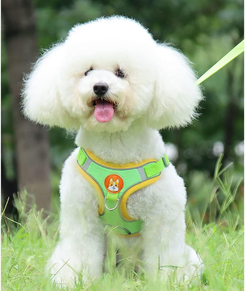 Detalle de MAJIAYU Dog Harness and Leash Set, Size M