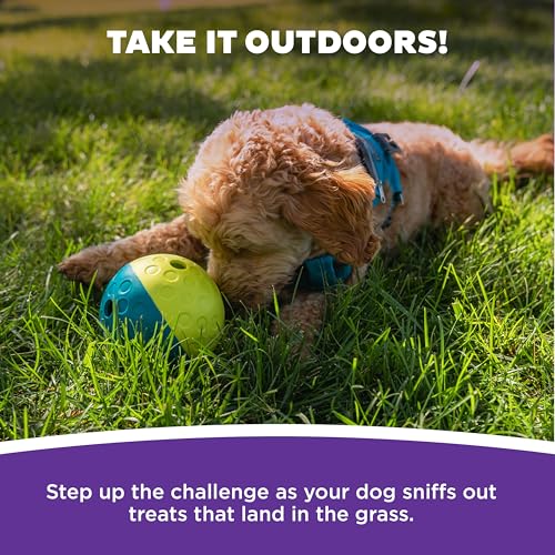 Detalle 2 de Nina Ottosson Interactive Dog Toys - Dog Puzzle Toys for Beginners, Level 1 (Outward Hound)