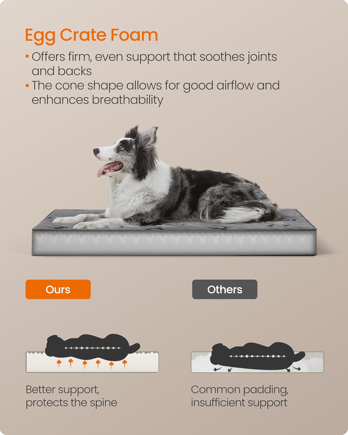 Thumbnail 3 de Feandrea Orthopedic Dog Bed Large (XL) – Egg Crate Foam, Waterproof Cover