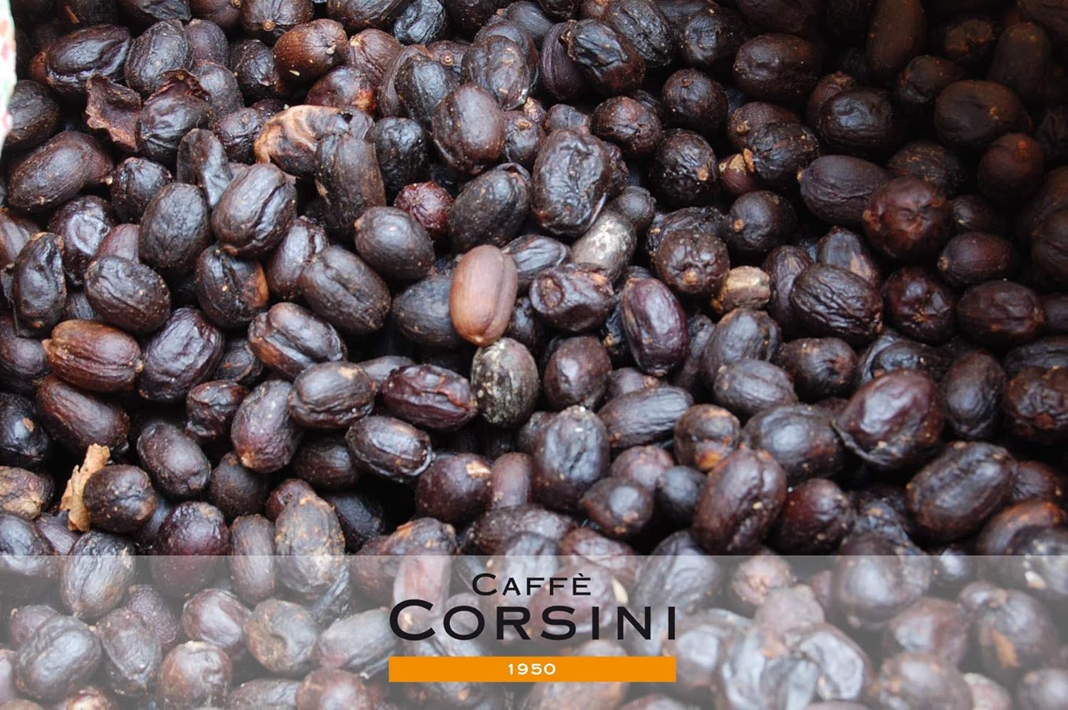Thumbnail 6 de Caffè Corsini Compagnia dell'Arabica Tris Caffè Guatemala-Etiopia-El Salvador 100% Arabica in Grani 3 x 250 g