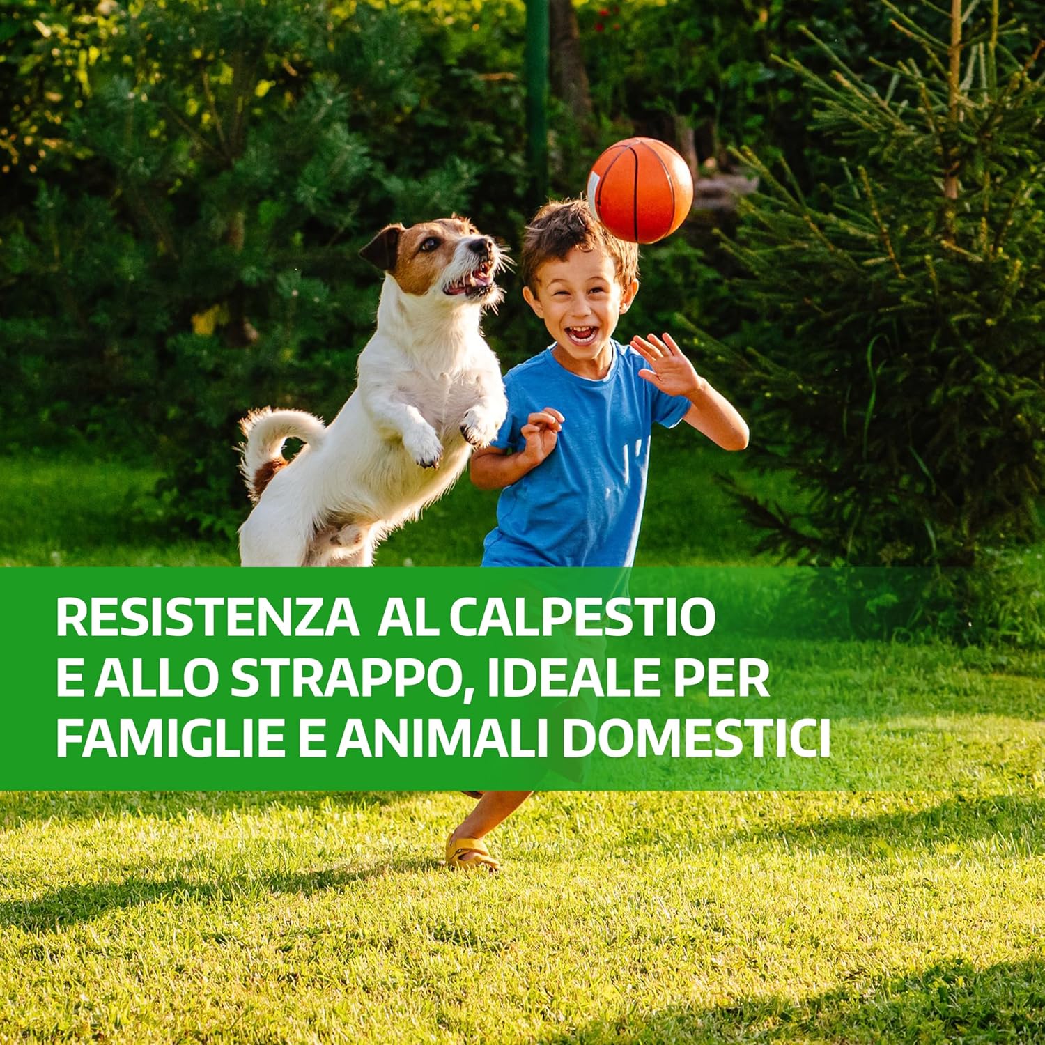 Thumbnail 2 de LERAVA Semi Gramigna per Prato (1 kg) – Copertura 100 m², resistente alla siccità