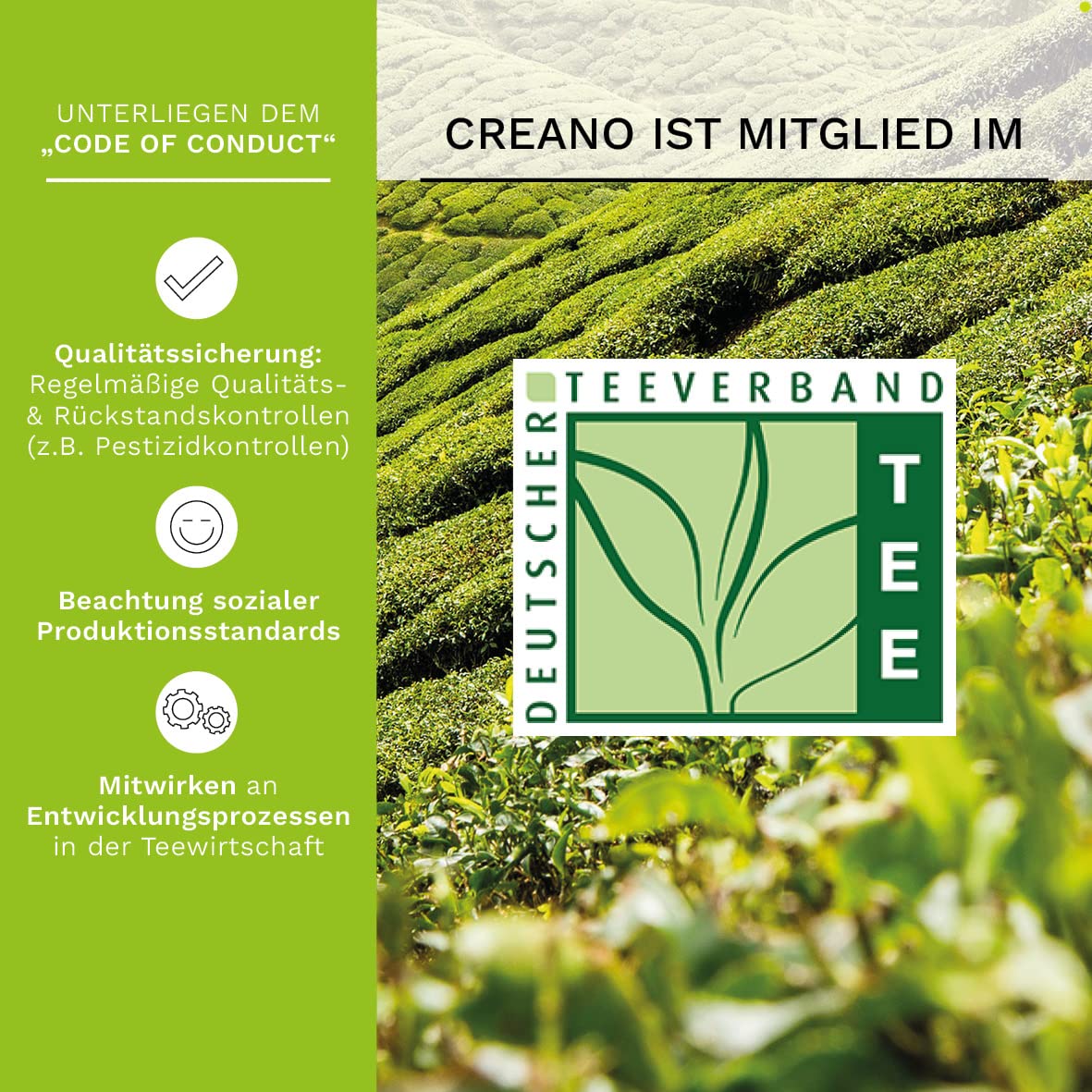 Detalle 2 de Creano ErblühTeelini Geschenkset mit 8 Teeblumen