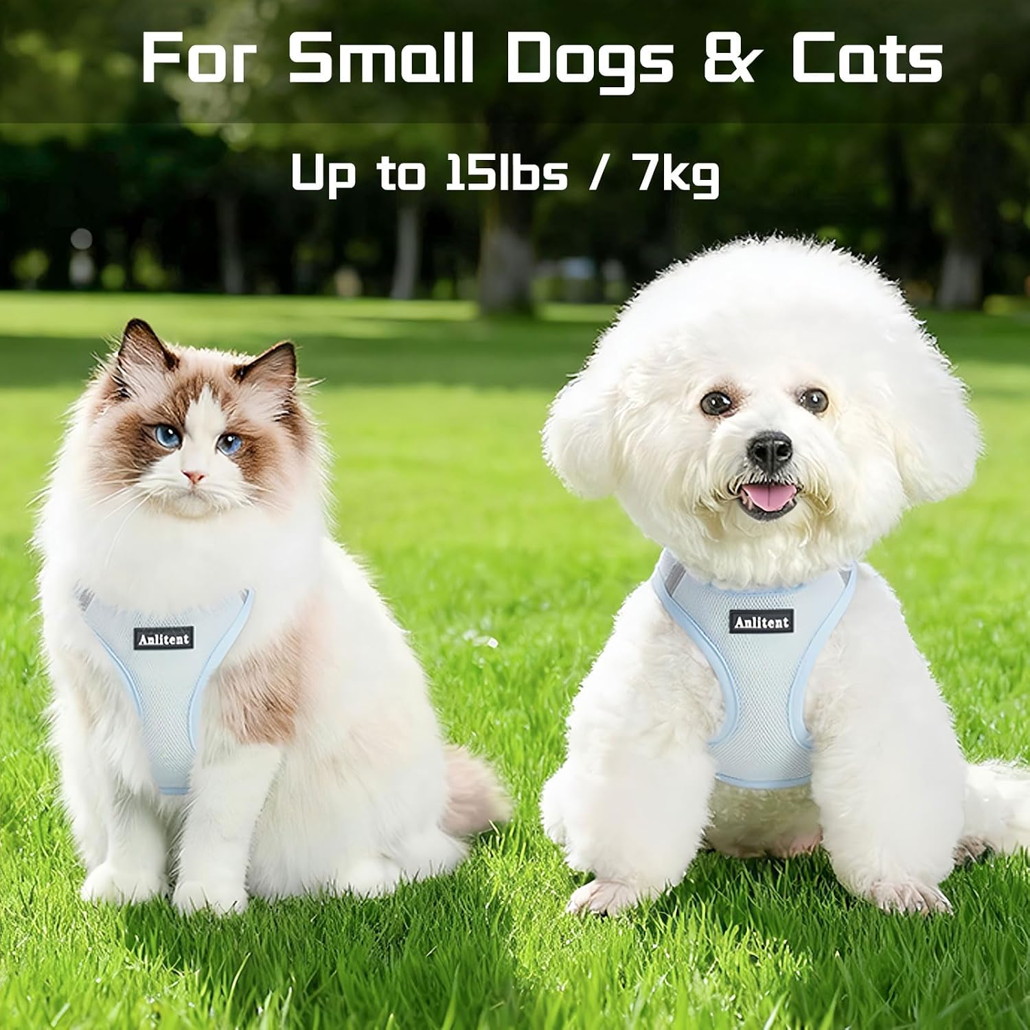 Detalle de Anlitent Step-in Air Harness S