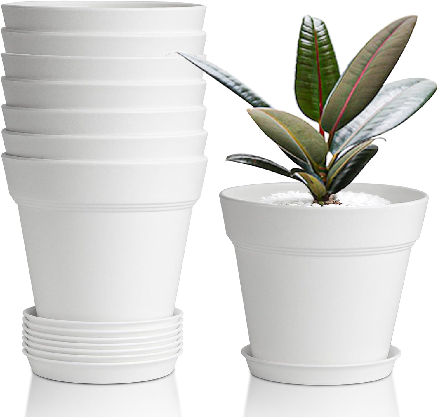 Detalle de T4U 10cm Plastic Plant Pots 6-Pack with Saucers – Minimalist Indoor/Outdoor Nursery for a Range of Houseplants