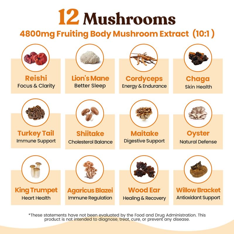 Detalle 2 de Venture Pal Mushroom Coffee, 12-Mushroom Arabica Blend with Probiotics