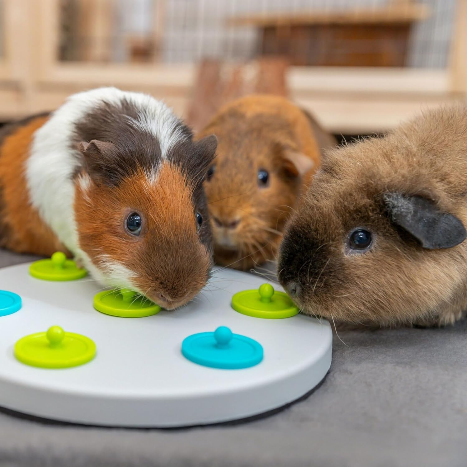 Thumbnail 5 de Trixie 62812 Snack Board aus Kunststoff (ø 20 cm) in Grau