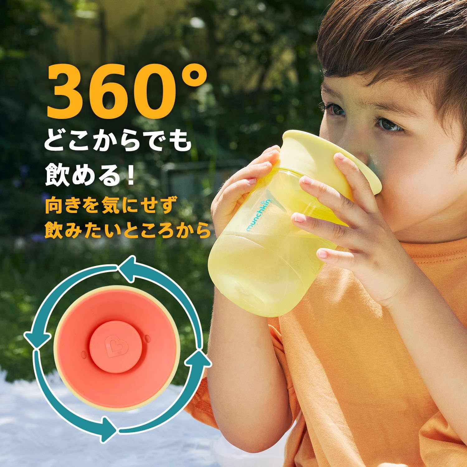 Thumbnail 5 de Munchkin FDMU28701 ミラクルカップ 2個セット、360°飲み口・コーラル＆パープル
