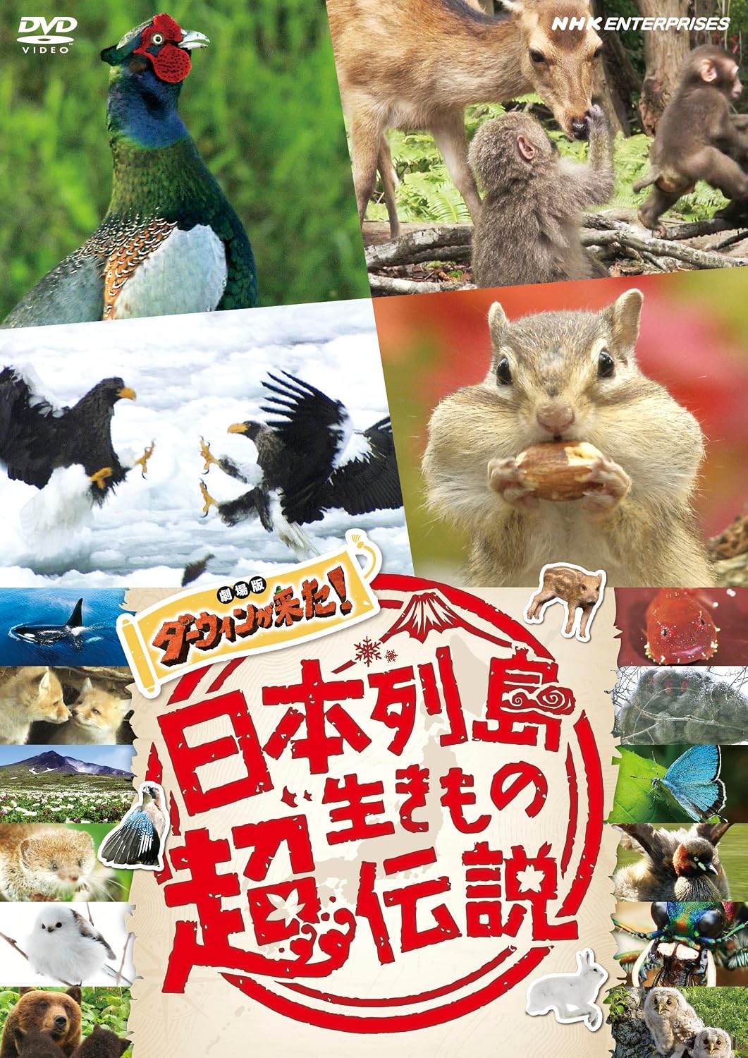 Detalle de 日本列島生きもの超伝説 劇場版 ダーウィンが来た! DVD 日本の自然と四季を描く映像作品