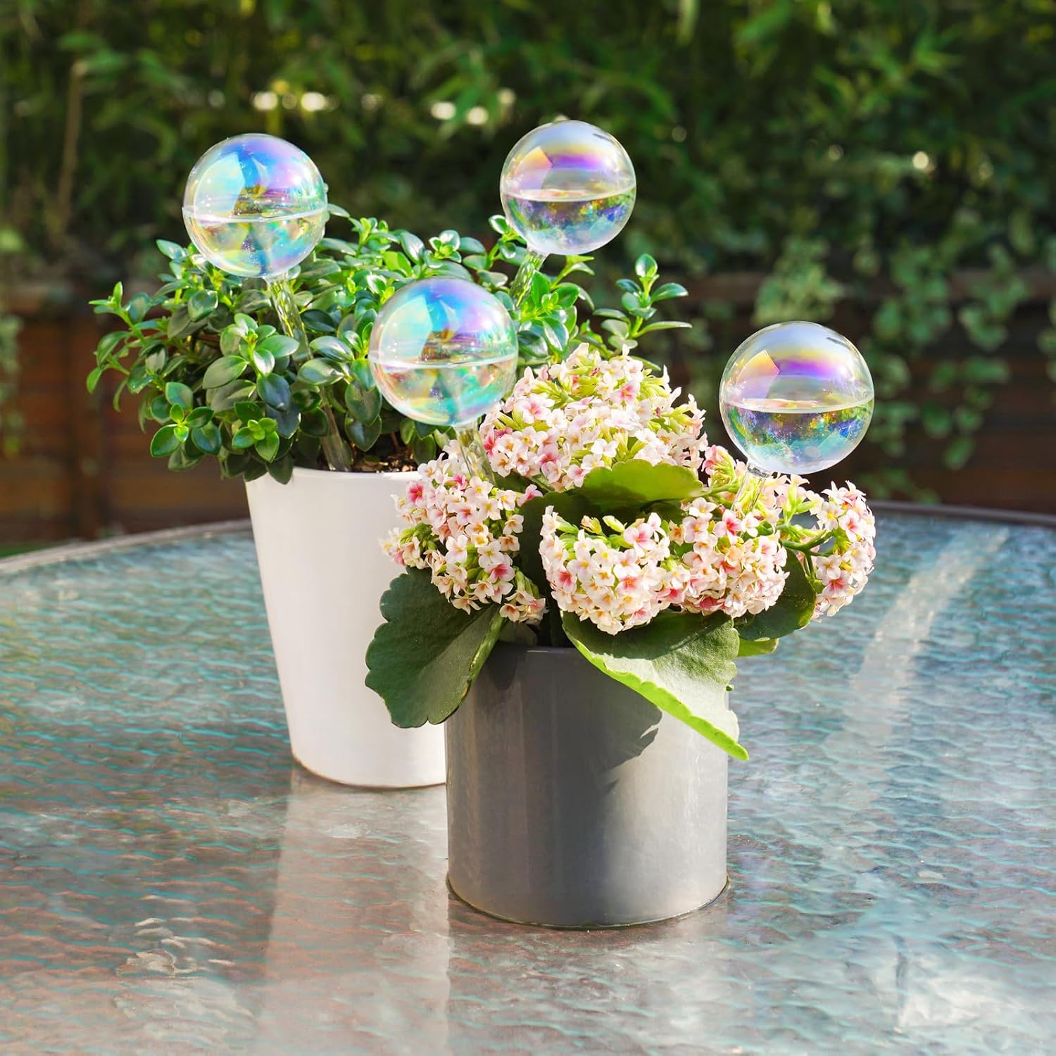 Thumbnail 4 de [4 PCS] Light Iridescent Rainbow Gradient Color Clear Glass Self-Watering System Spikes, Automatic Plant Waterer Bulbs