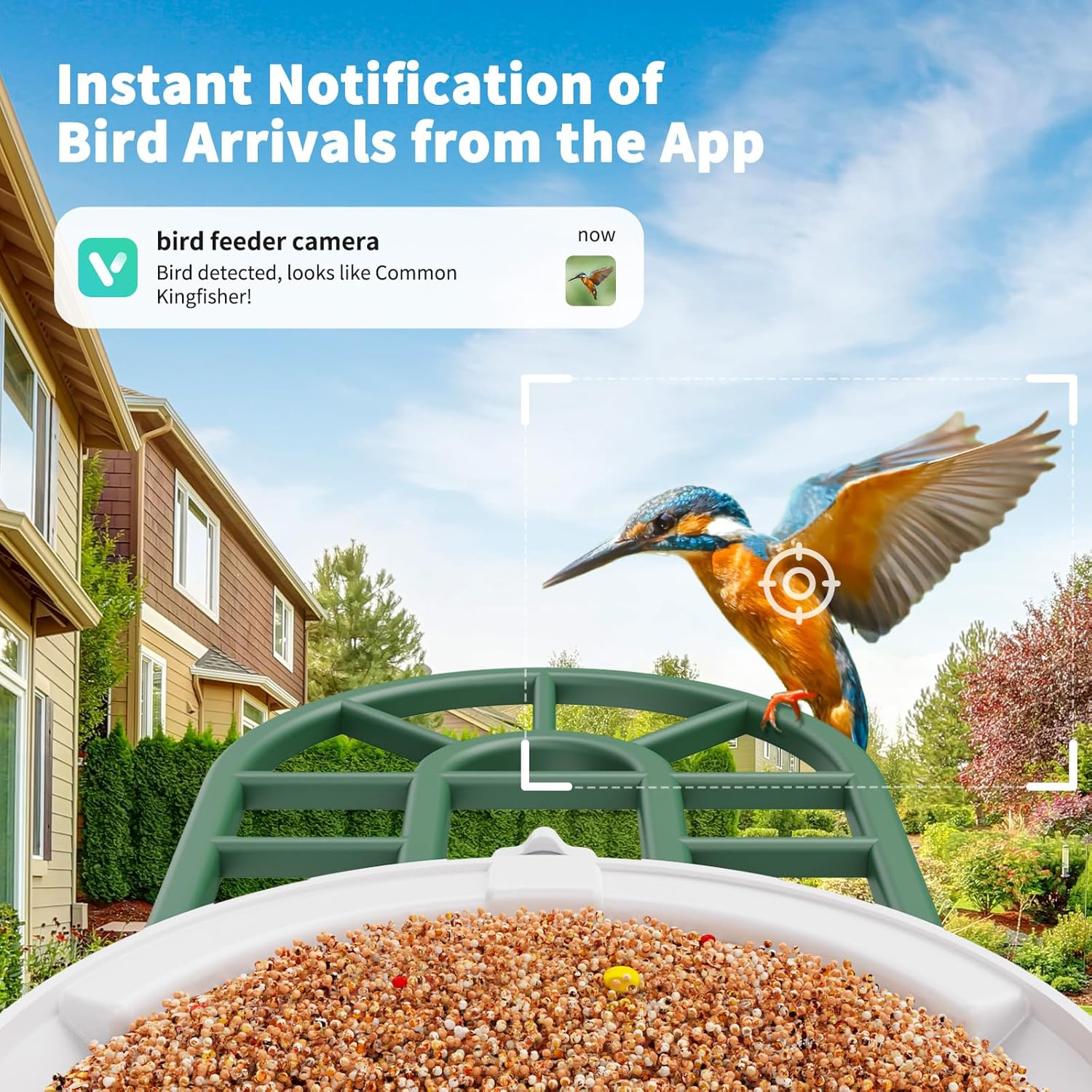 Thumbnail 6 de HARYMOR Smart Bird Feeder Camera, 2L