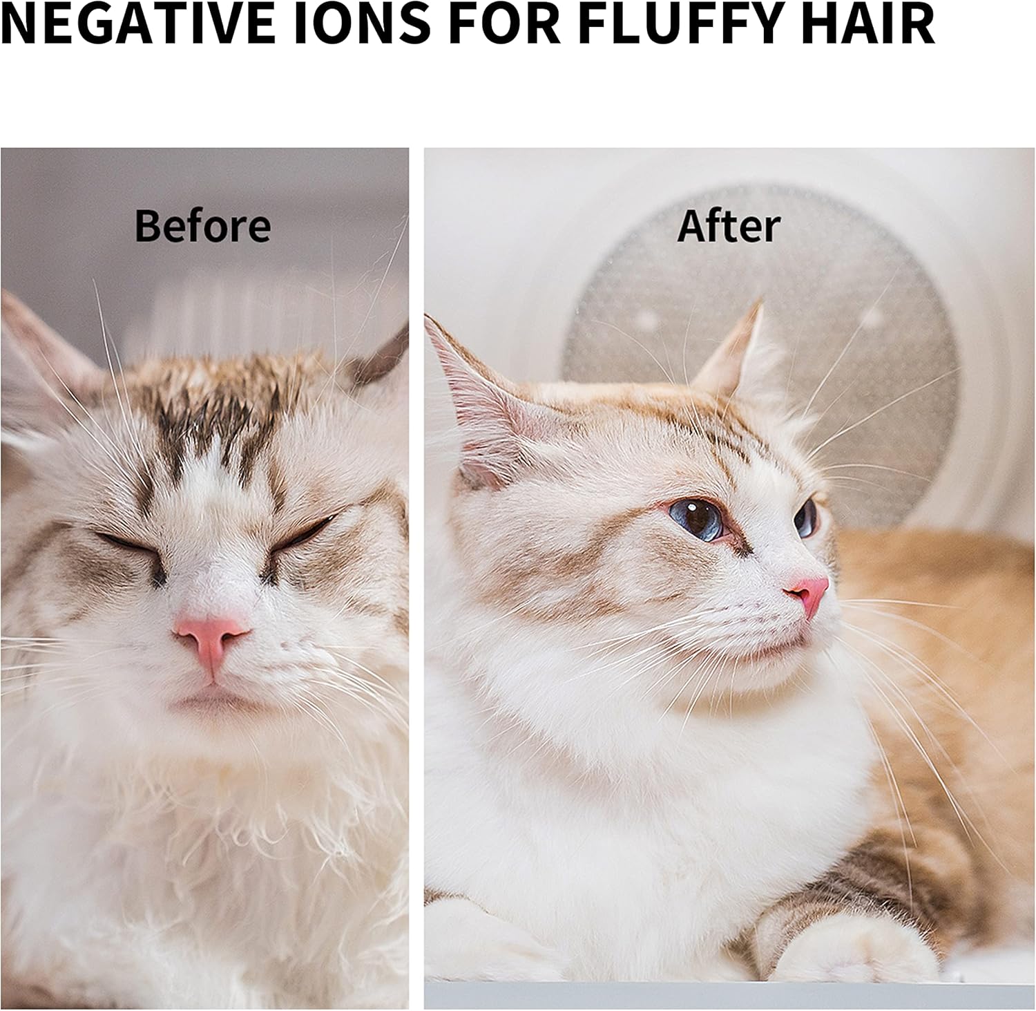 Detalle de PETKIT Airsalon Max automatic pet hair dryer box with app control, 60L capacity
