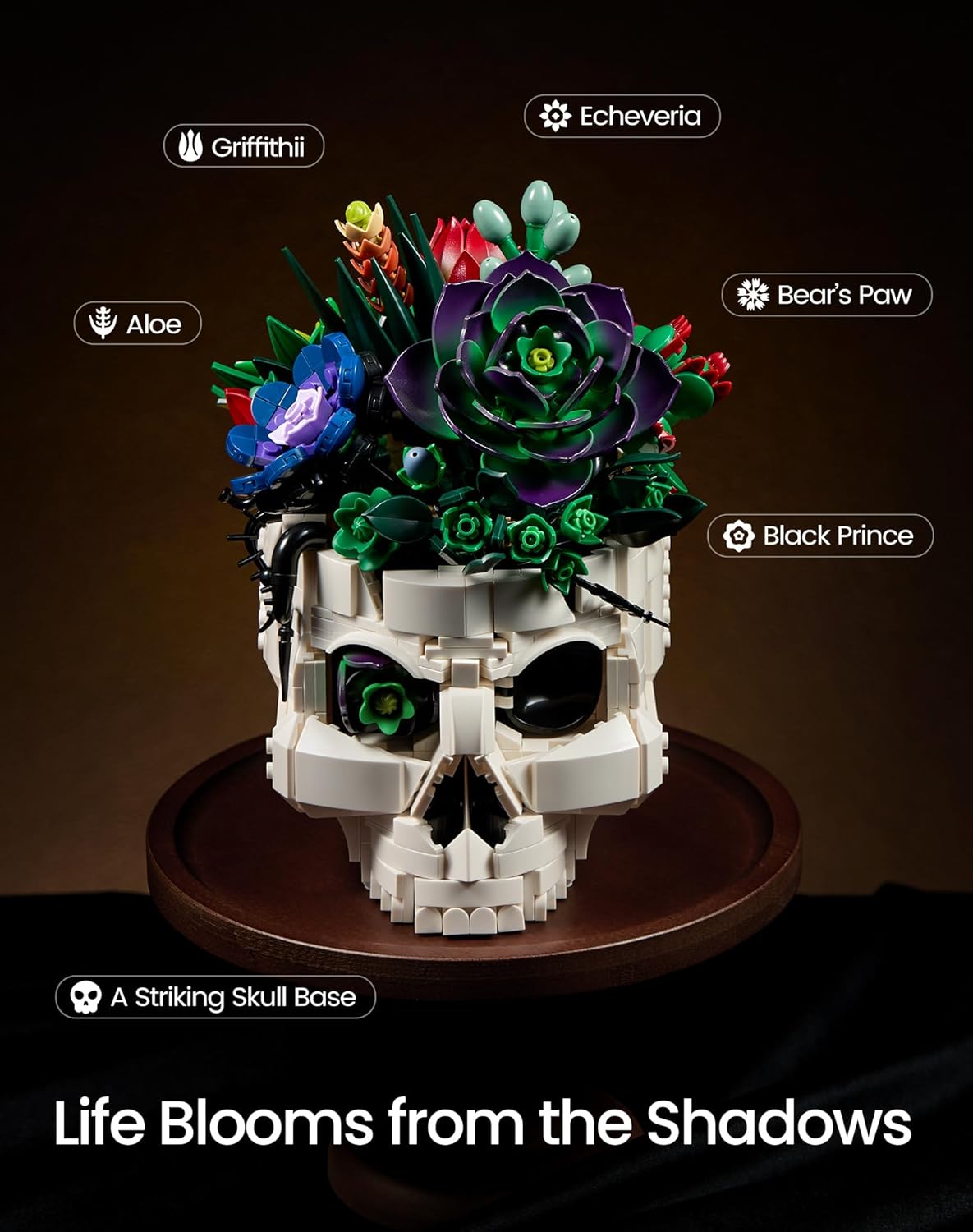 Detalle de Succulent Skull Planter Flowers Building Set: Gothic Skeleton Pot Display Kit