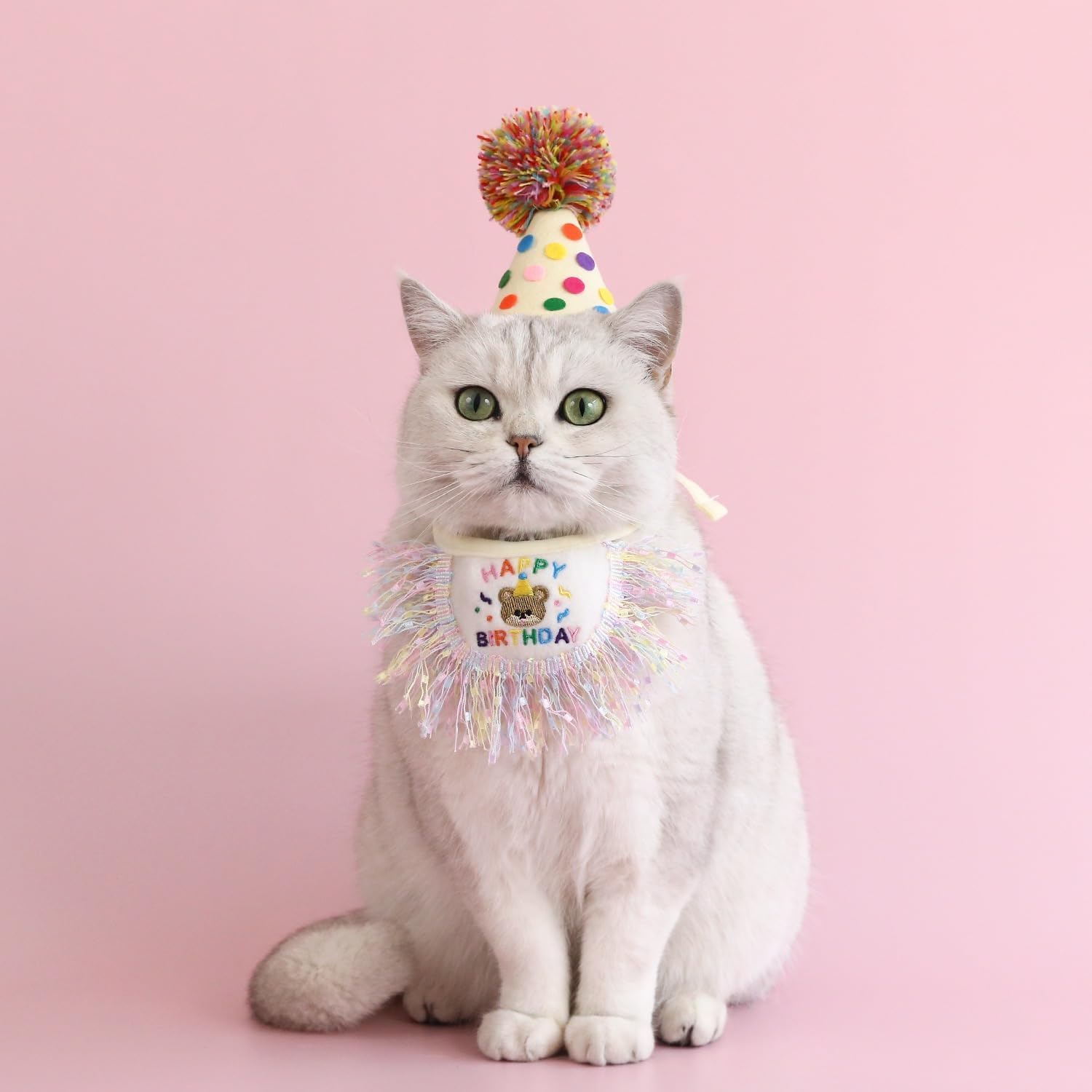 Thumbnail 6 de Cat Birthday Bandana and Party Hat Set with Embroidered Happy Birthday